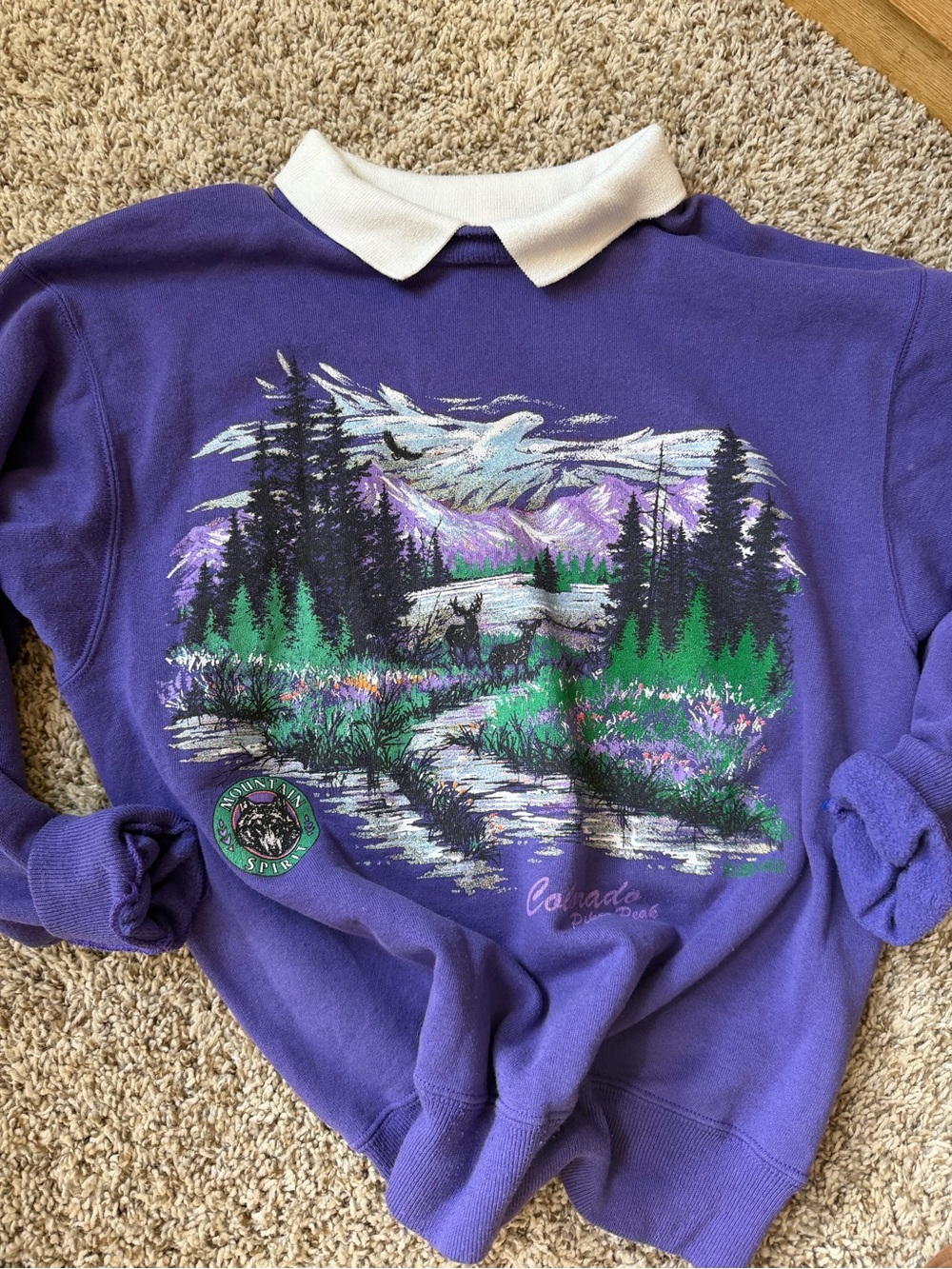 Vintage-Inspired Purple Scenic Collar Sweatshirt